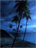 New paradise animated made gla New paradise animated made gla