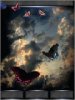 Night Butterflys