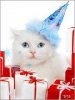 Новогодний котенок