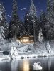 Лебедь на пруду