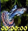 Подводный мир
