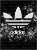 Аdidas