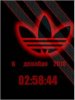 Red adidas