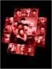 Rammstein