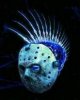 Neuropunk