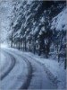 Winter road