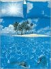 South sea dream