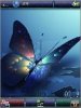 Winterbliss Butterfly colors