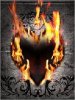 Heart Burn