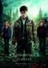 Гарри Поттер и Дары смерти: Часть 2 / Harry Potter and the Deathly Hallows: Part 2 (2011)