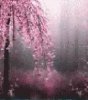 Fantastic pink nature