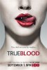 Настоящая кровь / True Blood (1 сезон) (2008)