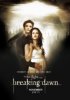 Сумерки. Сага. Рассвет: Часть 1 / The Twilight Saga: Breaking Dawn - Part 1 (2011)