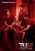 Настоящая кровь / True Blood (4 сезон) (2011)