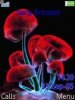 Mushrooms