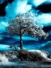 Blue Winter