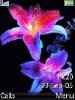 Final flowe