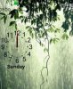 Animated Rain
