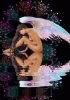 Night Angel