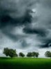 Animated Storm