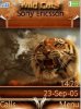 Wild Tiger
