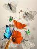 Flowers and Butterflies