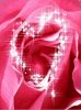 Rose Heart