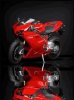 Ducati Motorbike