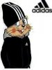 Заяц Adidas