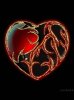 Tribal heart