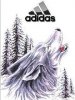 Adidas Wolf