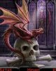 Drakon