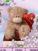 Teddy bears