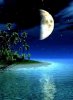 Dream Night