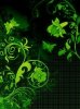 Black yellow green