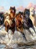 Horses