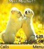 Puppies