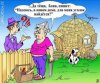 Забавные карикатуры про тёщ