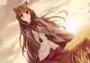 Хоро (Spice and wolf) / Horo (16+) 