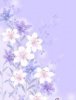 Flovers