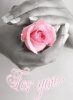 Rosy