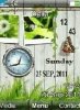 Nature Dual Clock