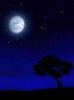 Night