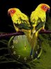 Parrot clock