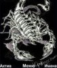 Skorpion