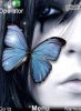 Blue Butterfly
