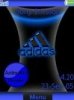 Blue Adidas