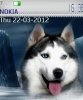 Husky
