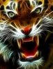 Fractal tiger