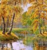 Березки